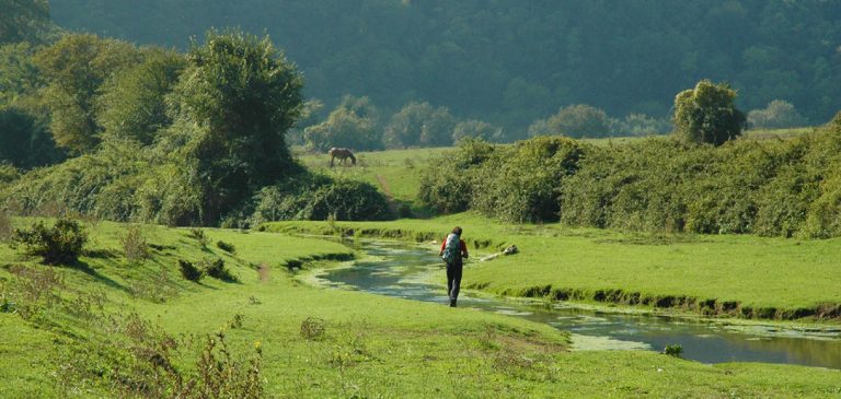 via francigena da campagnano