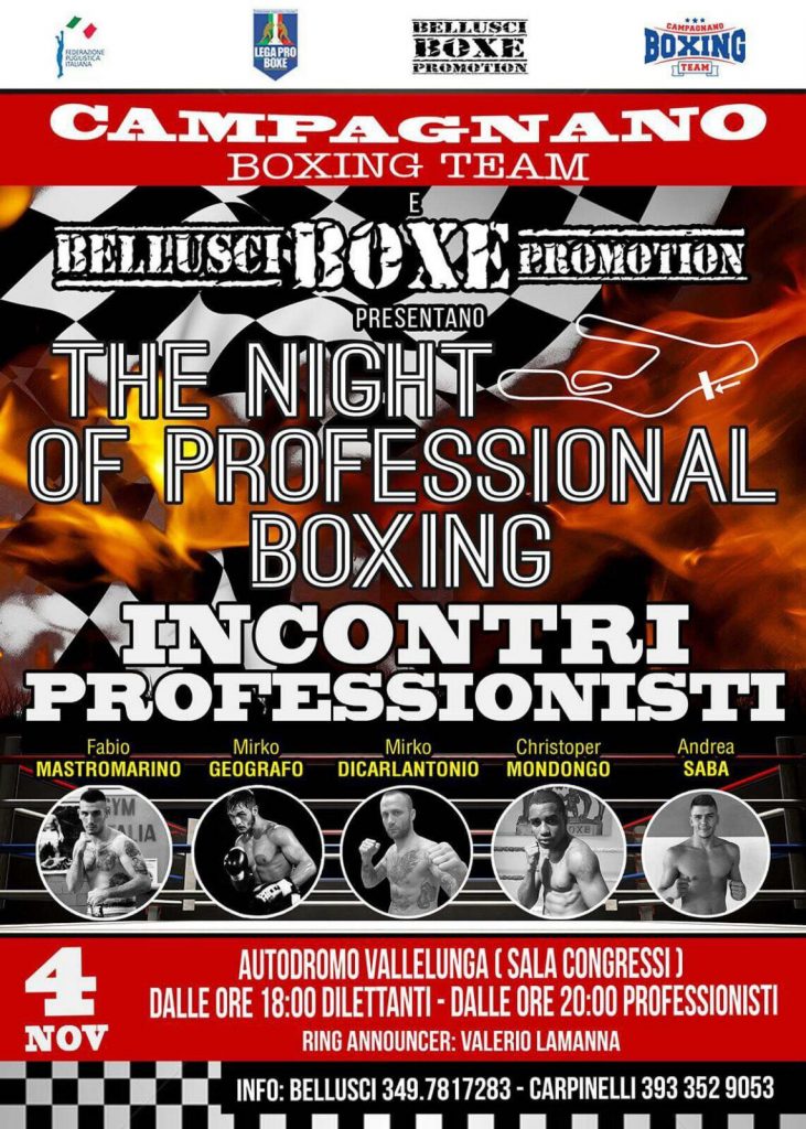 The Night of professional Boxing