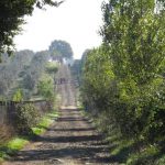 Circolo Legambiente a Campagnano