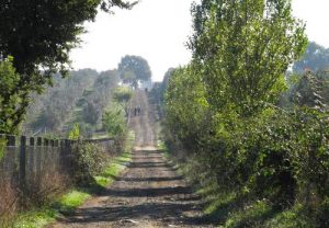 anello della Via Francigena di Campagnano
