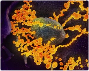 CORONAVIRUS